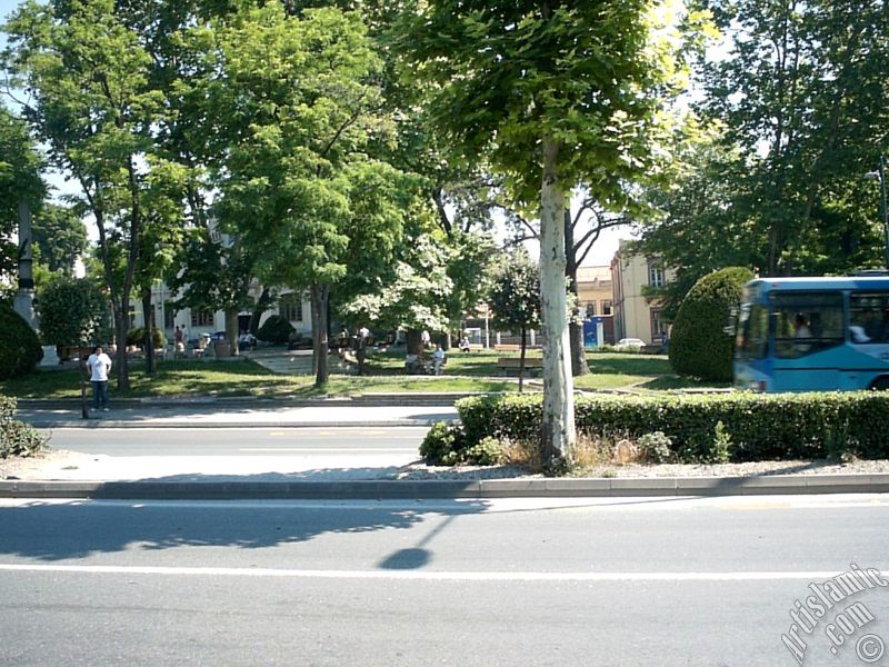 View of a park in Fatih district in Istanbul city of Turkey.
