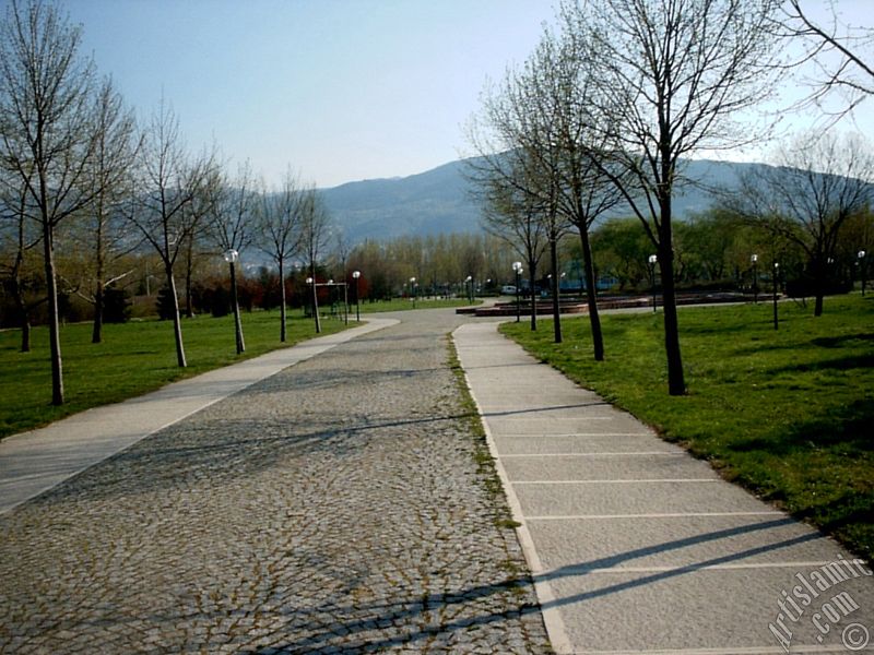 View of Botanical Park in Bursa city of Turkey.
