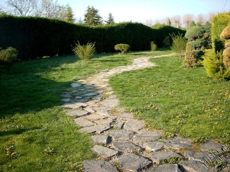 View of Botanical Park in Bursa city of Turkey.
