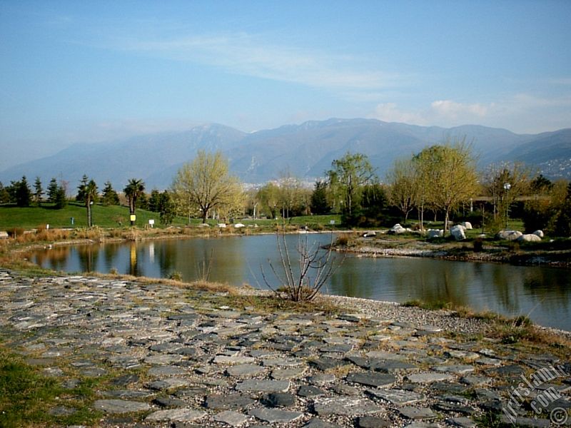 View of Botanical Park in Bursa city of Turkey.
