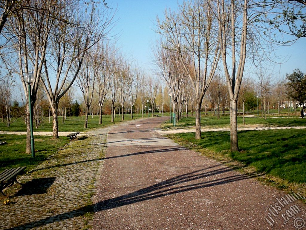 View of Botanical Park in Bursa city of Turkey.
