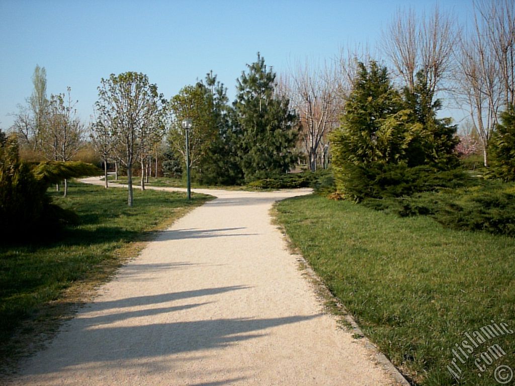 View of Botanical Park in Bursa city of Turkey.
